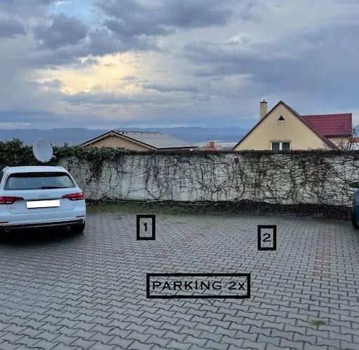 Dominika בויניצה